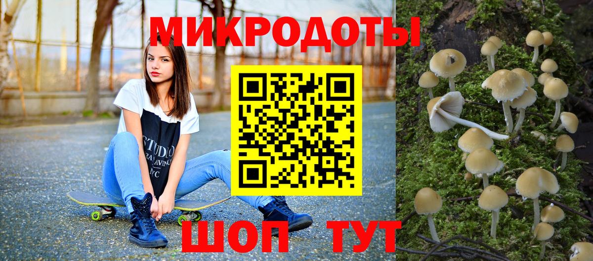Галлюциногенные грибы Psilocybine cubensis  Псилоцибиновые грибы MAGIC MUSHROOMS  Мичуринск  Вход с VPN 